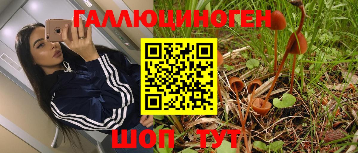 Петрозаводск  купить наркоту  Вход с VPN  Галлюциногенные грибы GOLDEN TEACHER 