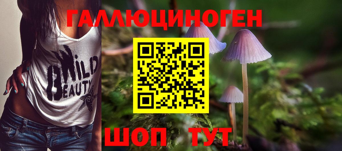 Псилоцибиновые грибы MAGIC MUSHROOMS Петрозаводск